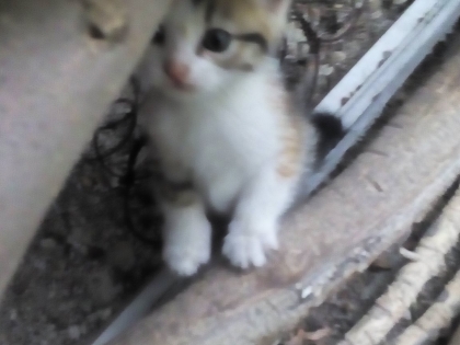 нежната